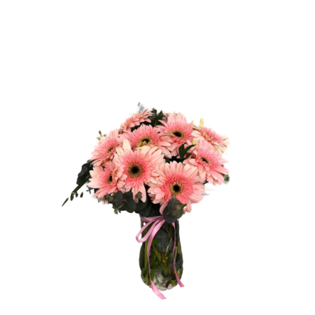 VAZODA GERBERA